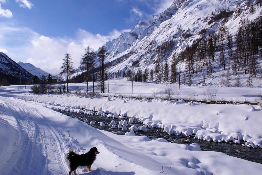 Albergo Boule De Neige Rhêmes-Notre-Dame 部屋 写真